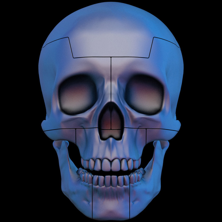 FrontPictures-Max-Barskih-Skull-3D-Mapping-3D-elements-view