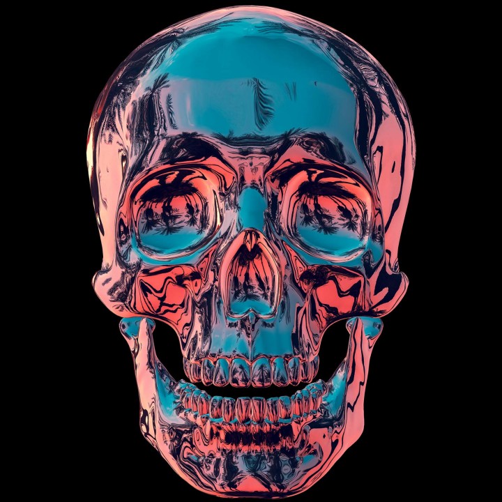FrontPictures-Max-Barskih-Skull-3D-Mapping-Iliquid-perspective