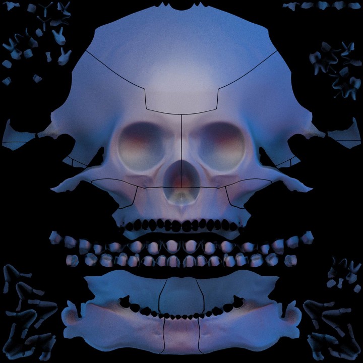 FrontPictures-Max-Barskih-Skull-3D-Mapping-elements-map-unwrap
